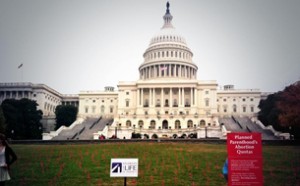 Abortmodstandere placerede 915 små, røde kors foran parlamentsbygningen i Washington DC for at minde befolkningen om, at USA foretager 915 aborter om dagen.