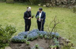 Synne Garff hjælper den armenske ambassadør Hrachya Aghajanyan med at plante de mange mindeblomster i ambassadens have. Foto: Les Kaner.