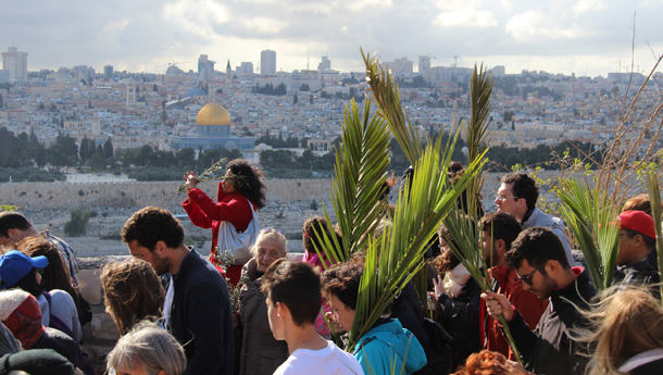 Den lange procession af pilgrimme med palmegrene fulgte Jesu vej fra Betania på Oliebjerget (hvor Lazarus, Martha og Maria boede) og ned til Jerusalem. Undervejs passerede de Getsemane-haven (hvor Jesus bad, før han blev taget til fange) De gik også gennem Kedron-dalen og derfra ind til Betesda Dam i Jerusalems gamle bydel. Fotos: Vidar Norberg