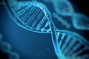 Muligheden for at finde bevis for, at ny information i DNA’et kan opstå via tilfældig mutation bliver mindre og mindre, efterhånden som forskningen afdækker hvordan den digitale kode i DNA fungerer.