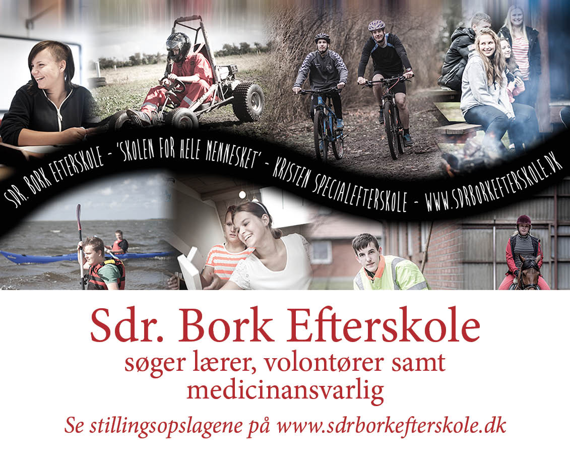 SDr. Bork søger lærer og volontør