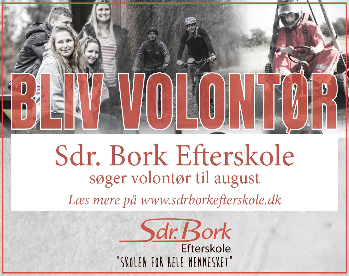Sdr. Bork volontør